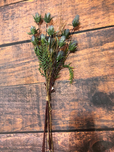 K Willow Bundle