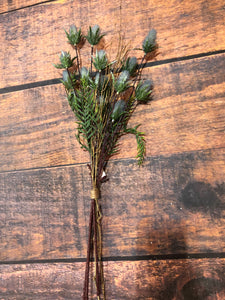 K Willow Bundle