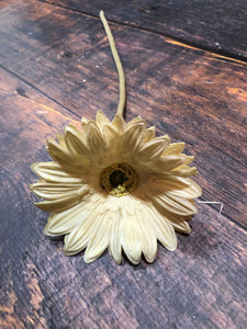 K Gerbera Daisy-White