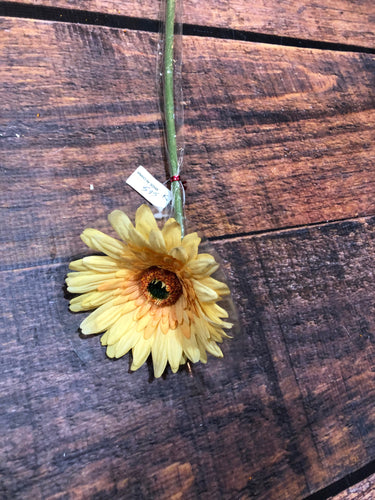 K Gerbera Daisy-Yellow