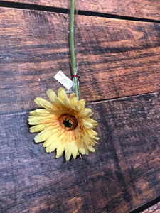 K Gerbera Daisy-Yellow