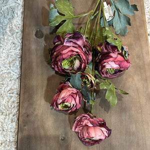 K Dries Ranunculus Spray Burgundy