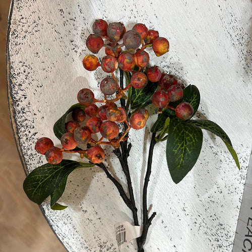 K 14” Berry Pick