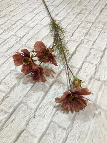 K Cosmos Spray