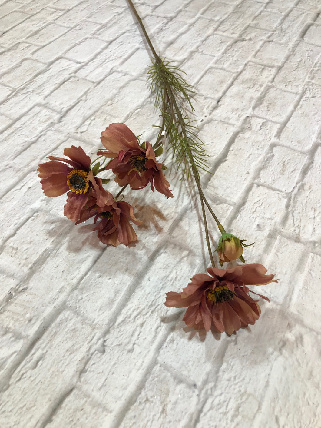 K Cosmos Spray