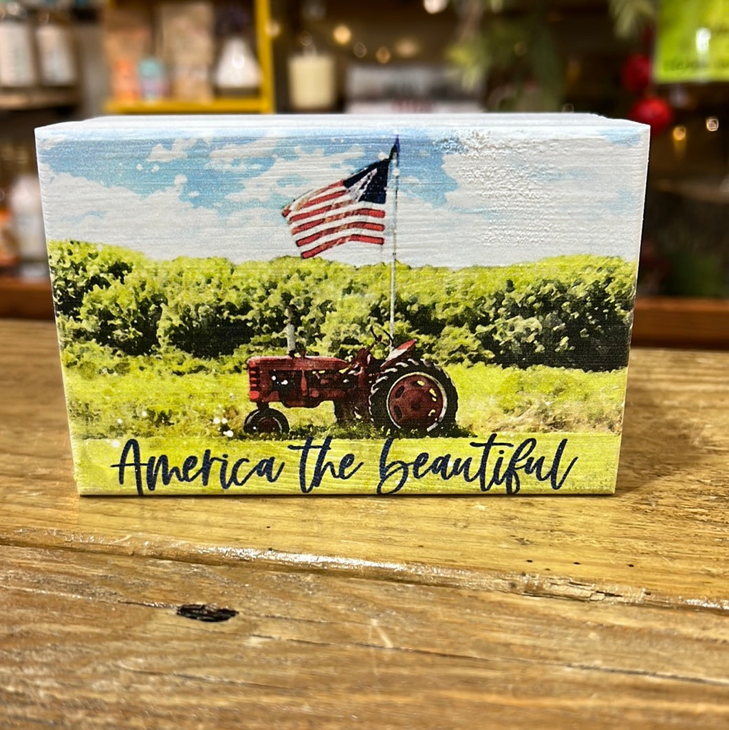 K America the beautiful