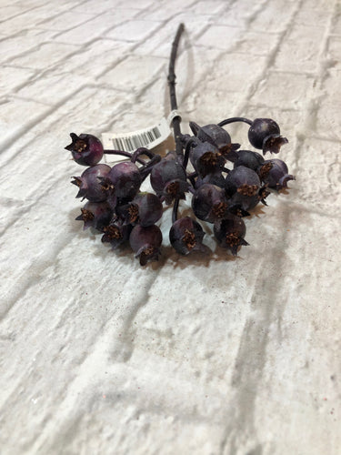 K Purple Berry Stem