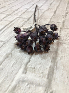 K Purple Berry Stem